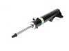 ES#2562392 - 22-001917 - B4 Touring Front Strut Assembly - Priced Each - Includes new mounting hardware - Bilstein - Mercedes Benz