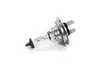 ES#174556 - 63217160781 - H7 Halogen Bulb - Priced Each - 12V 55W H7 - Genuine BMW - BMW MINI