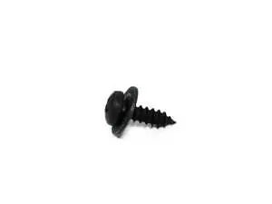 Fillister Head Screw