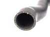 ES#24982 - 11531741407 - Radiator Hose - Connects water pump to radiator - Genuine BMW - BMW