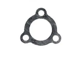 Coolant Plug Gasket