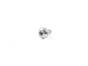 Trim Screw - Priced Each