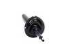 ES#49949 - 31312282098 - Front Right Spring Strut - OEM replacement for your vehicle's suspension - Genuine BMW - BMW