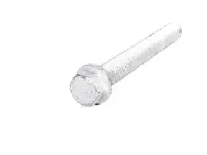 Hex bolt - priced each 