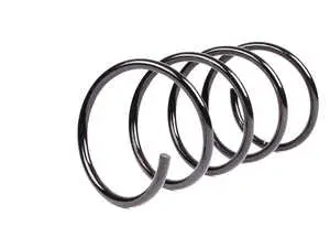 Front Coil Spring - Priced Each