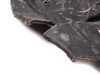 ES#126347 - 51488193937 - SND INSUL PNL - (NO LONGER AVAILABLE) - Genuine BMW - 