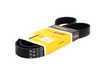 ES#1663 - A32LABK - Accessory Drive Belt - Kit - Includes multi-ribbed belt & power steering v-belt, for cars with factory A/C - Continental - Volkswagen