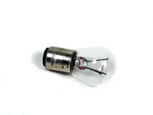 Bulb - Priced Each