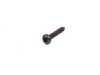 ES#14949 - 07119907796 - Screw - priced each - ST4 2x25 - Genuine BMW - BMW