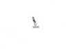 ES#31566 - 12527502041 - CONTACT - Genuine BMW - BMW MINI