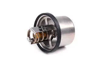 Thermostat - 79 C