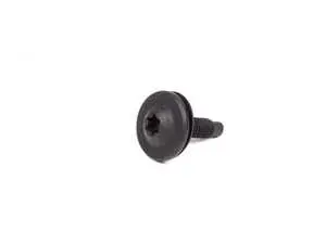 Oval Head Screw With Washer - M6x21