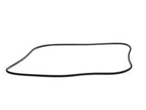 Sunroof Gasket