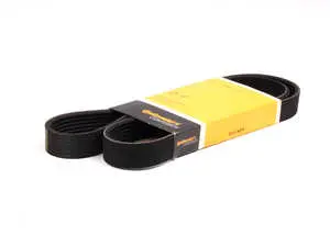 Accessory Belt
