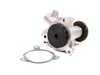 ES#259197 - 11519070759 - Water Pump - Includes gasket - Graf - BMW