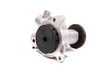 ES#259197 - 11519070759 - Water Pump - Includes gasket - Graf - BMW