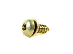 ES#100703 - 51418119726 - Torx Bolt - 4.8X13 - Genuine BMW - BMW