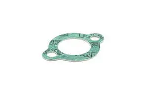 Coolant Pipe Gasket
