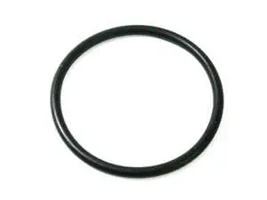 Fuel Sender O-Ring