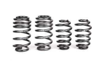 ES#6914 - 29312-1 - Sport Springs Set - Unrivaled comfort and performance. Average lowering of 1.3"F 1.25"R - H&R - Audi