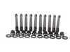 ES#2562268 - 204-4204 - ARP Head Stud Conversion Kit - 1.8L and 2.0L 16V head stud conversion kit with 12 point fastening nuts - ARP - Volkswagen