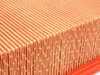 ES#2568341 - 13721715881 - Air Filter - Keep your engine breathing fresh air. - Mann - BMW