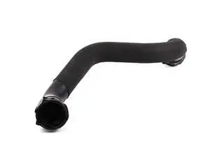 E9x M3 Radiator Hose - Lower