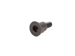 Torx Head Fitted Screw - Priced Each