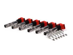 Ignition Service Kit