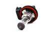 ES#2568723 - 07119906503 - H8 Halogen Bulb - Priced Each - Used in many locations on late model BMWs including the angel eyes on late model BMW models - Osram Sylvania - BMW MINI