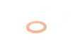 ES#2549843 - N0138132 - Copper Sealing Ring - Priced Each - Crush washer - one required - Rein - Porsche