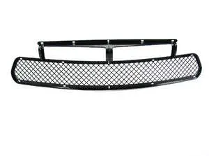 Bumper Grille - Center