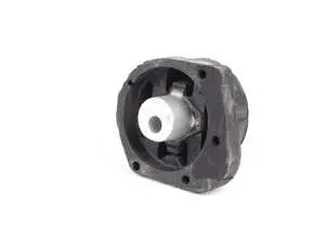 Transfer Case Mount