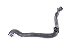 Radiator Hose - Lower