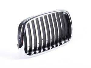 Kidney Grille - Left