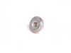 ES#2574742 - 99908409202 - Locking Nut - Priced Each - Lock nut for timing belt guide rail - Two required - Kolb - Porsche