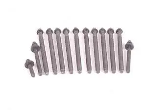 Cylinder Head Bolts - Set Of 13