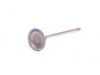 ES#253289 - 11347587470 - Intake Valve - Priced Each - Replacement intake valve for the cylinder head - Genuine MINI - MINI