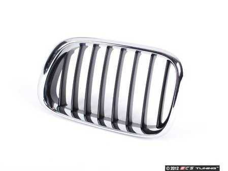 ES#78674 - 51138402645 - E53 X5 Grille - Genuine BMW - BMW