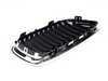 ES#255031 - 51137201969 - Grille - Chrome Frame and Grille - Genuine BMW - BMW