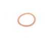 ES#1375967 - 90012301120 - Sealing Ring - Crush washer for oil tank drain plugs - Genuine Porsche - 