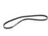 ES#2738757 - 079903137E - Accessory Belt  - Replaces your cracked or worn belt - Continental - Audi