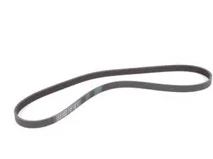 Accessory Belt 