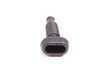 ES#31347 - 12521714311 - PROT CAP - Genuine BMW - BMW