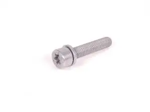 ISA Screw With Washer