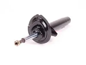 Strut Assembly - Right