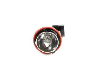 Angel Eye Bulb Socket