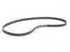 ES#269690 - 022145933AP - Accessory Belt - Factory direct replacement. - Genuine Volkswagen Audi - Audi Volkswagen