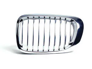 Kidney Grille - Left