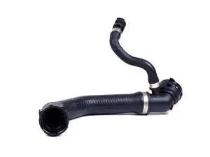 Radiator Hose - Upper